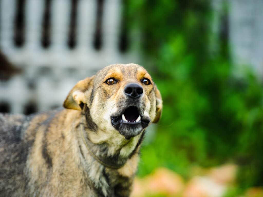 Istock 1179037051