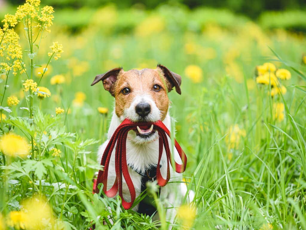 Istock 1207992654